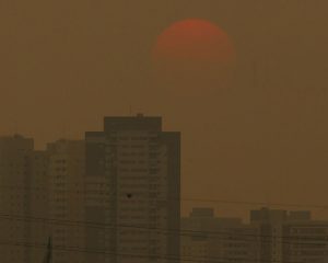 Concentração de gases do efeito estufa atingem níveis recordes