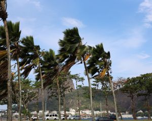 Defesa Civil alerta para ventos fortes na cidade do Rio