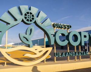 Estados do Nordeste tentam atrair investimentos para Caatinga na COP17
