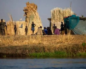 Fome mundial atinge 645 milhões de pessoas, diz relatório da
