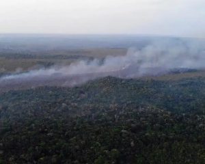 Governo intensifica reforços para combater incêndios no Pará