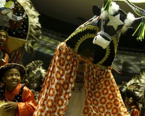 Inscrições para disputar Conselho de Política Cultural vão até dia