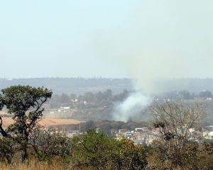 MMA lança edital para arborizar periferia urbana de pequenas cidades