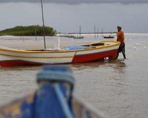 PF impede desvio de até R$ 10 bi no seguro
