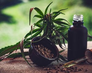 Para associações, normas ainda deixam pontos em aberto sobre cannabis