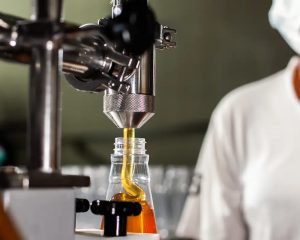 União Europeia sinaliza retomada de compras de frango e mel