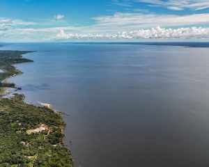 Veja os planos de governo de Flávio e Lula para